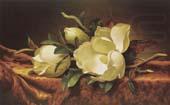 Martin Johnson Heade Magnolia china oil painting image